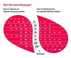 Blutgruppe