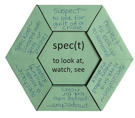 Root Spec See Look Diagram Quizlet