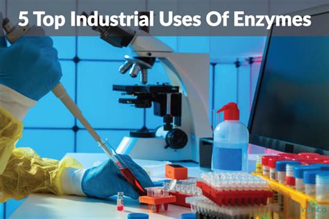 Top 5 Industrial Uses Of Enzymes Infinita Biotech