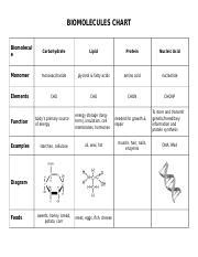 BIOMOLECULES CHART Key.doc - BIOMOLECULES CHART Biomolecul e ...