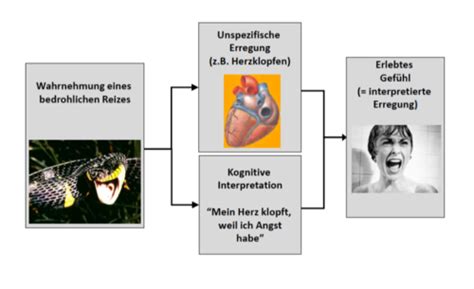 Allgemeine Psychologie Ii Thema Emotionen Flashcards Quizlet