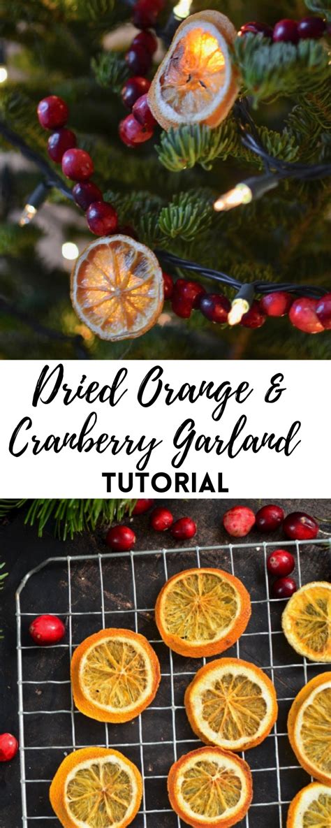 How To Make A Dried Orange Garland For The Holidays Artofit