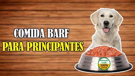 ¿será Saludable La Dieta Barf Para Mi Perro 🥩🐶¡aquí Te Lo Contamos