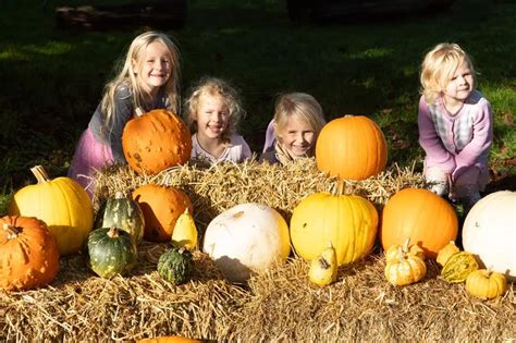 Bone Trails Spooky Woodlands And Half Term Fun With Howl Oween At