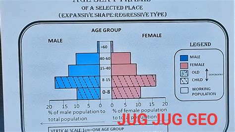 Human Geography Lab CC 4 Type Of Age Sex Pyramid Graphical