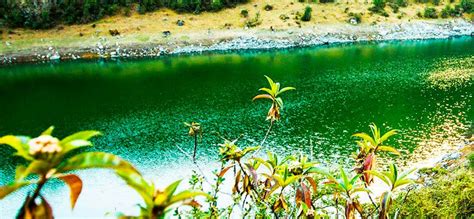 El Santuario Nacional de Ampay Naturaleza y conservación en Apurímac