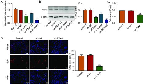 Interference With Ptma Expression Inhibits Escc Cell Proliferation A