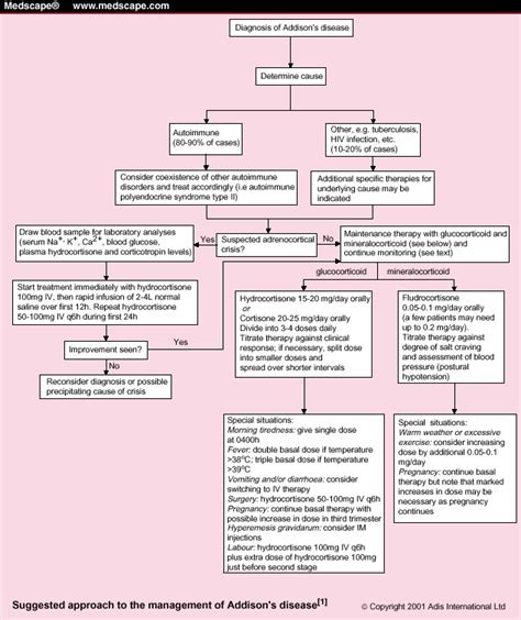 Addison S Disease