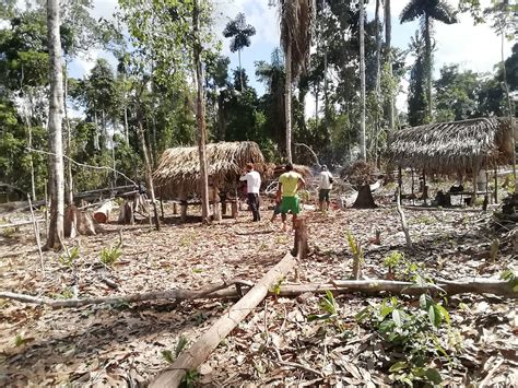 Parque Nacional Alto Purús Las amenazas siguen en aumento y de no