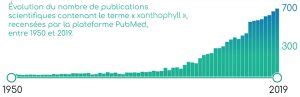 Xanthophylles caractéristiques et rôles biologiques Nutrixeal Info