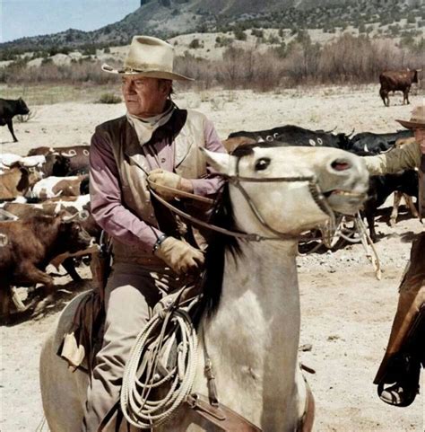 Cattle Drive John Wayne Movies John Wayne Western Movies