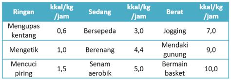 Kebutuhan Energi Pada Manusia