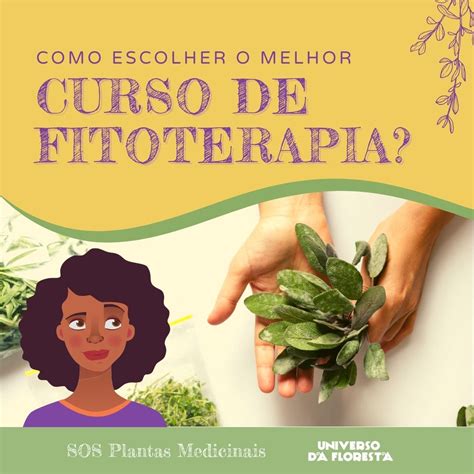 Como Escolher O Melhor Curso De Fitoterapia