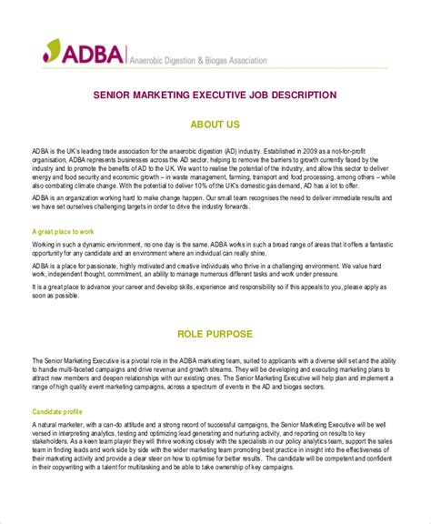 Executive Job Description Template