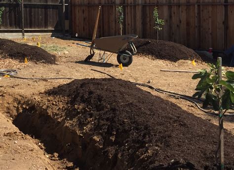 Drought Proofing With Earthworks Edible Silicon Valley