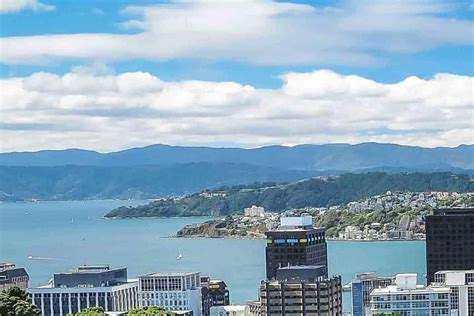 The BEST Wellington Tours and Things to Do in 2022 - FREE Cancellation ...