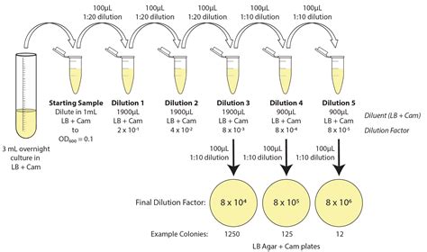 How To Calculate Cfug So Total Colony Forming Unit 15 X 108 Per