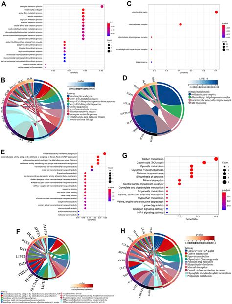 Construction And Validation Of Cuproptosis Related Lncrna Prediction