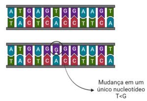 Dna E Sa De Explorando As Varia Es Gen Ticas Ilha Do Conhecimento