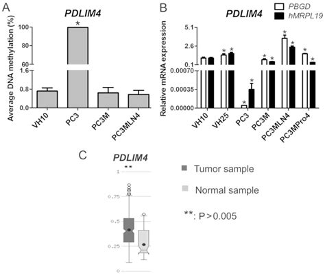 Differential Gene Methylation Patterns In Cancerous And Noncancerous Cells