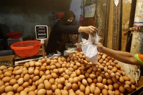 Kenaikan Harga Telur Kompaspedia