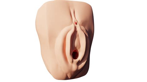 STL Datei Vagina V7 3D Drucker Vorlage Zum HerunterladenCults