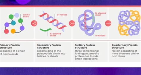 Structural Biology