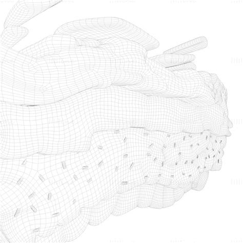 Modelo 3d De Células De Tejido De Estructura De Piel De Epidermis