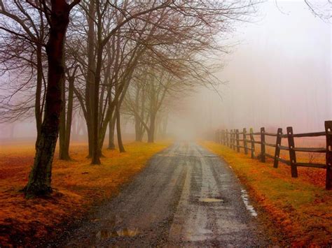 Foggy Road Autumn One Hd Wallpaper Pictures Backgrounds - Autumn ...