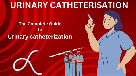 The Complete Guide To Urinary Catheterization