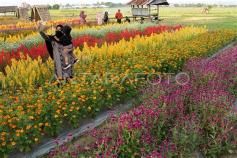 OBJEK WISATA MULAI DIKUNJUNGI WISATAWAN DI GOWA ANTARA Foto