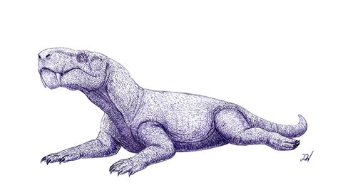 Gorgonops by MantisVerde on DeviantArt