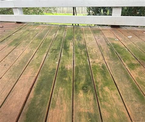 Expert Secrets Remove Mold And Get Green Algae Off Your Deck