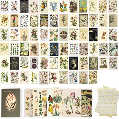 Vintage Botanical Wall Collage Kit Pcs Room Philippines Ubuy