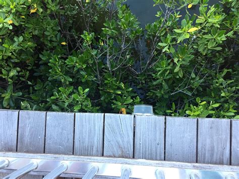 Underneath A Dock At A Marina Rpurplecoco
