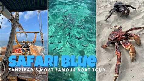 Safari Blue Zanzibar Is This 70 Tour Worth The Hype The Most