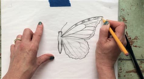 Butterfly Drawings In Pencil Side View