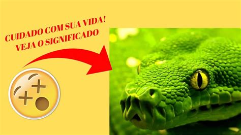 O Que Significa Sonhar Cobra Significado De Sonhar Cobra