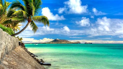 10 New Pics Of Hawaiian Beaches FULL HD 1920×1080 For PC Background 2020