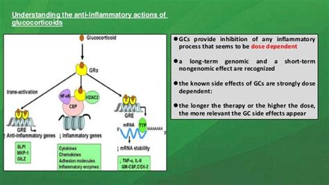 Role Of Corticosteroid In Rheumatoid Arthritis