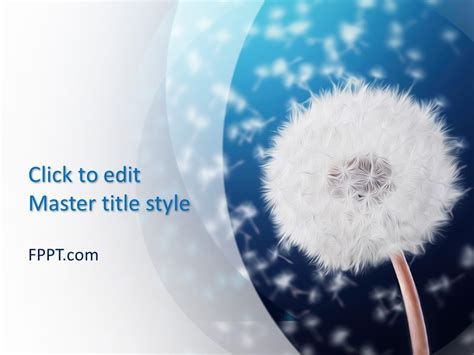 Free Editable Presentation Templates