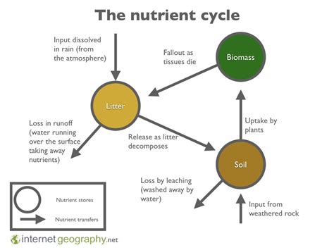 Diagram Of Explain Why The Diagram Shown In Figure Is An Example Of