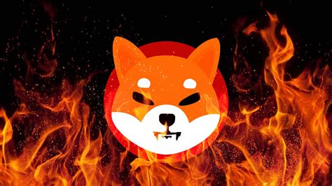 Shiba Inu Shib Price To Skyrocket As Shibarium Burn Begins