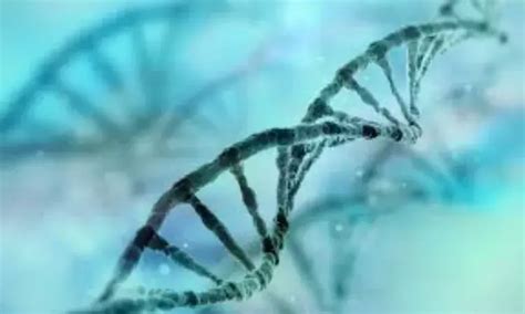 Gene Therapy Shows Early Promise As Angelman Syndrome Treatment