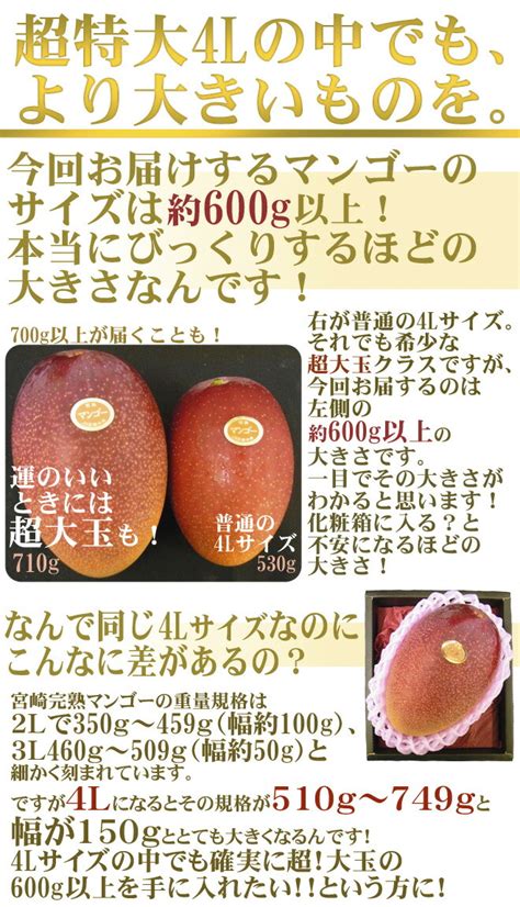 フォークな 宮崎完熟マンゴー 秀品 4lサイズ 食品 わった