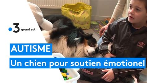 Un chien accompagne des enfants atteints d autisme certains élèves se