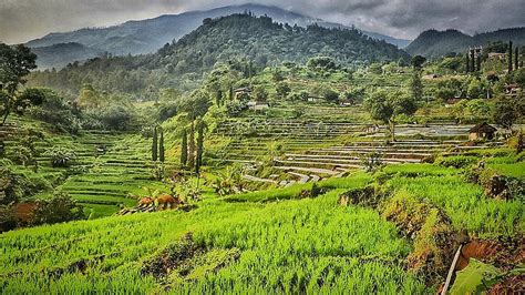 Wisata Mojokerto Terpopuler Paduan Sejarah Dan Keindahan Alam Hot