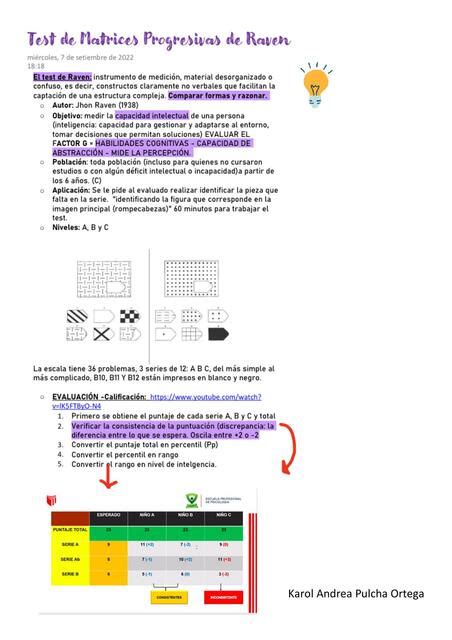 Test De Matrices Progresivas De Raven Karol Pulcha Udocz