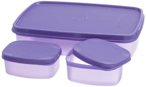 8 Amazing Compact Lunch Box For 2024 Storables