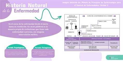 Historia Natural De La Enfermedad Herpes Zoster Udocz Hot Sex Picture